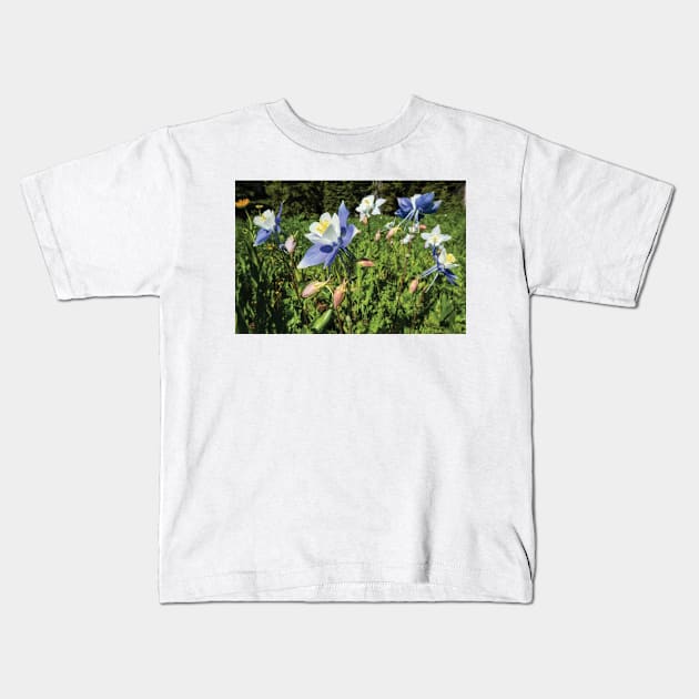 Close Up Of Wildflowers Crested Butte Kids T-Shirt by HammiltenJohn